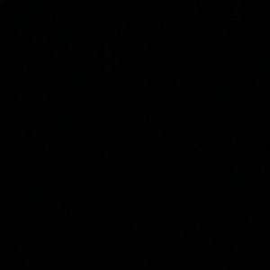 Meet your Posher, Ava